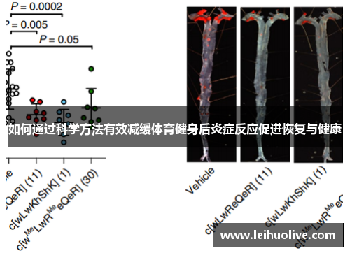 如何通过科学方法有效减缓体育健身后炎症反应促进恢复与健康