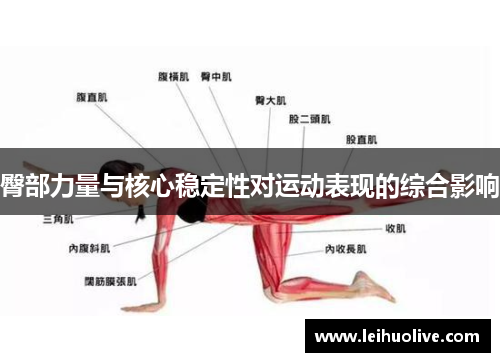 臀部力量与核心稳定性对运动表现的综合影响